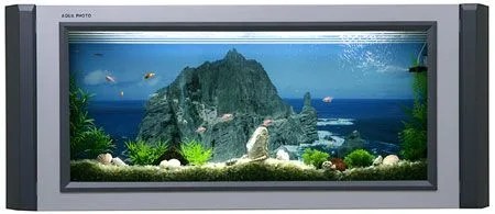 wall-aquarium.jpg
