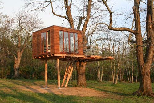 baumraum-treehouse1.jpg