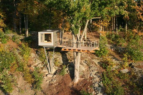 baumraum-treehouse2.jpg