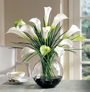 calla-lilies