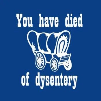you-have-died-of-dysentery-oregon-trail-tshirt