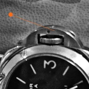 watch-crown-guard