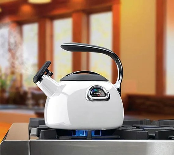 cuisinart-perfetemp-tea-kettle