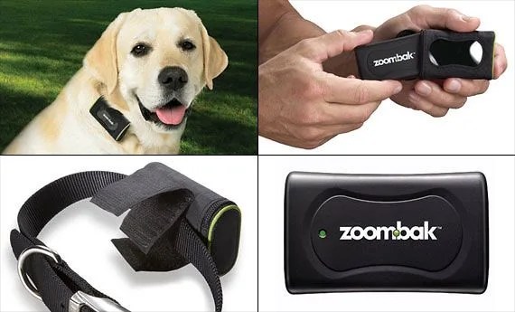 zoombak_pet_gps_final