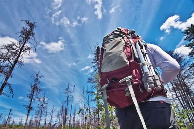 Osprey-Kestrel-68-Backpack-Gear-Patrol