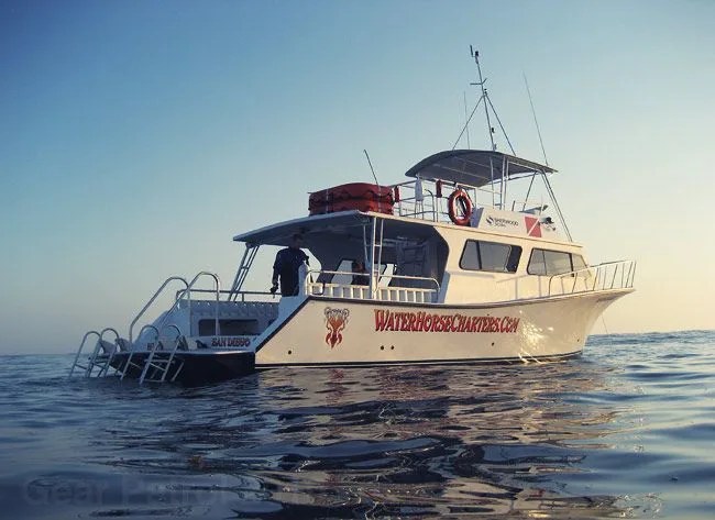 Newton-Custom-Built-Dive-Boats-Gear-Patrol