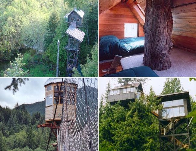 Cedar-Creek-Treehouse-Hotel-at-Mt-Ranier-Gear-Patrol