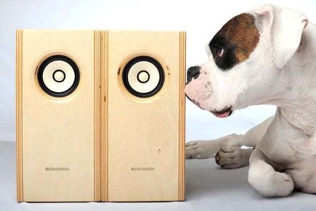 Blumenstein-Ultra-Fi-Orca-Speaker-Gear-Patrol