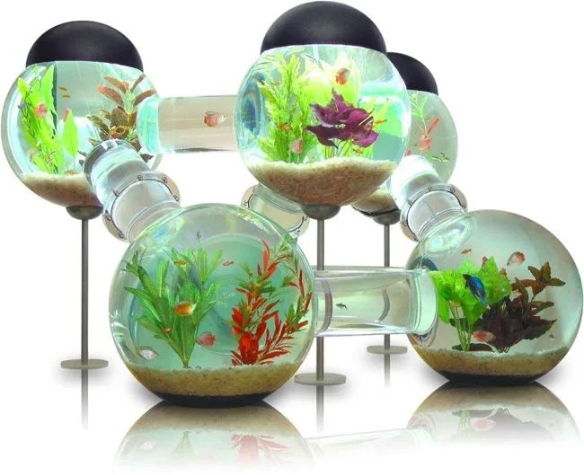 Labyrinth-Aquarium_gearpatrol