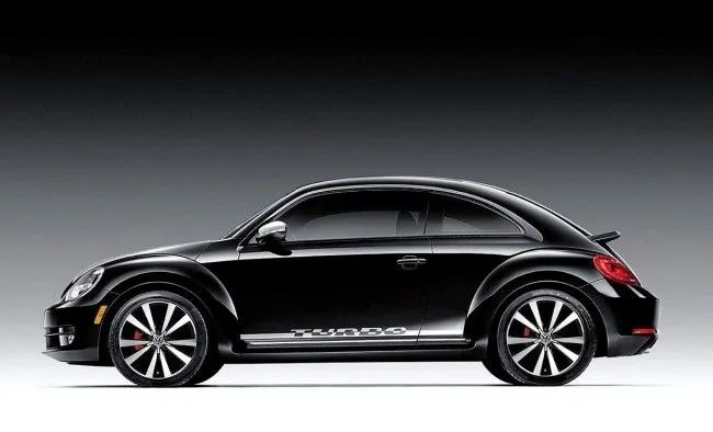 beetle-black