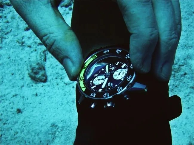 IWC_bezel-1_