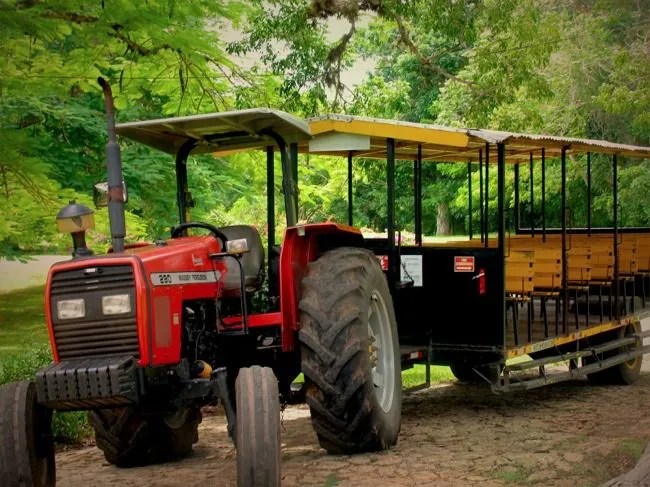 prospect-plantation-1_