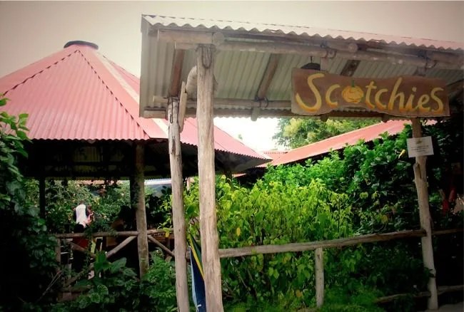 scotchies-1_