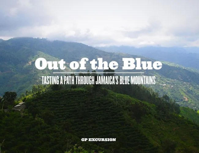 tasting-notes-jamaica-gear-patrol-gear-patrol