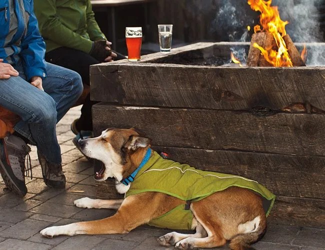 Ruff-wear-k9-overcoat-gear-patrol