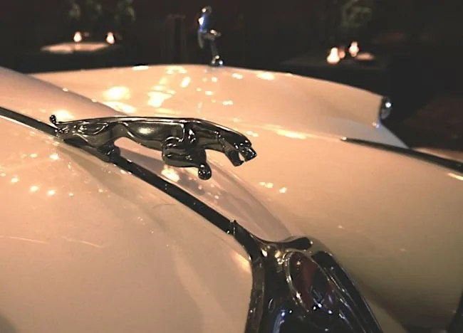 leaper_