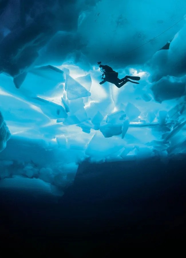 Timekeeping-Rolex-Deepsea-Challenge-Gear-Patrol-8