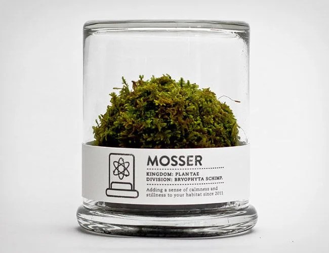 mosser-gear-patrol-lead