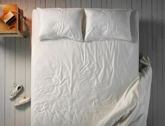 polar-pillow-gear-patrol