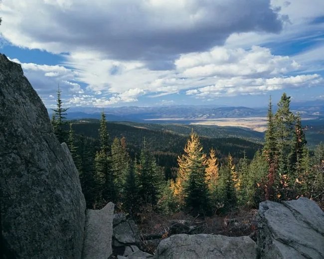view-7_