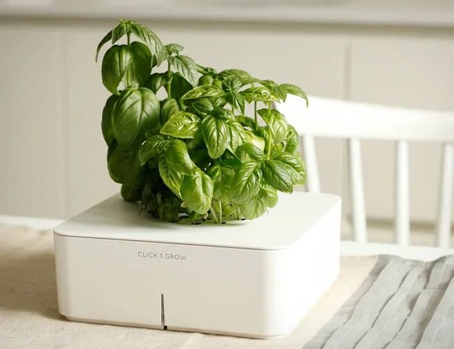 click-and-grow