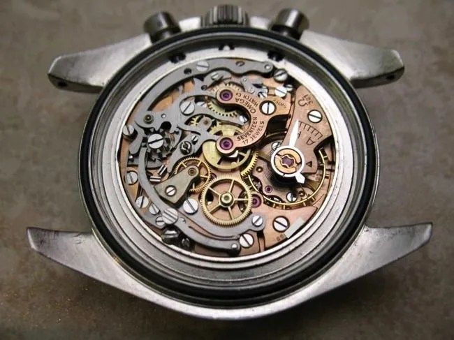 Plaisted_Speedy_movement_