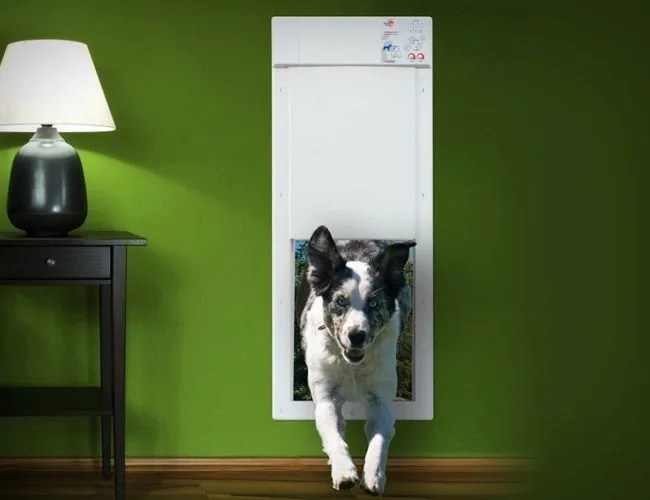 power-pet-electronic-door