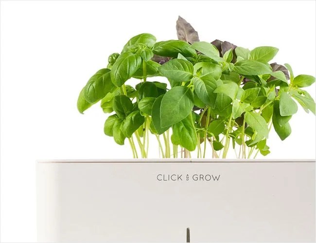 Click-Grow-gift-guide-gear-patrol