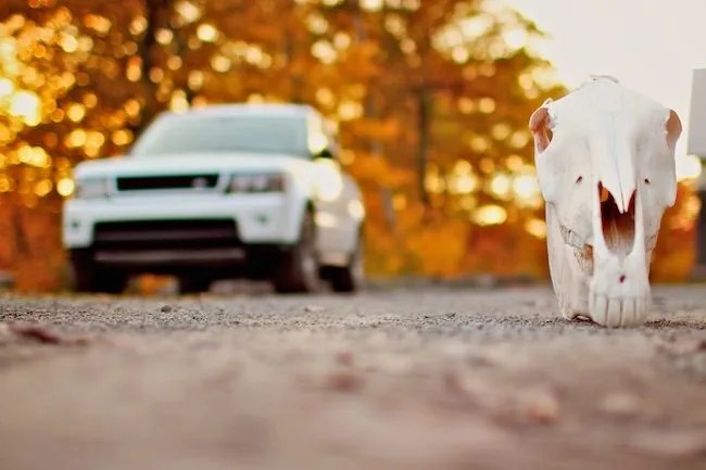 Range-Rover-Sport-Gear-Patrol-11