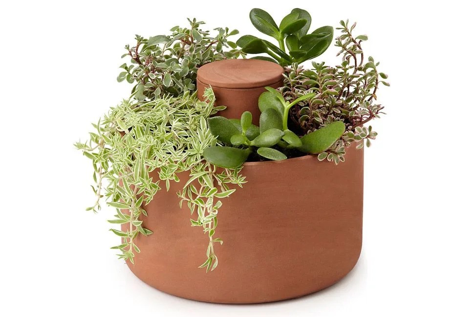 Joey-Roth-Planter-Gear-Patrol-Full-Width