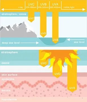 Sunscreen-Summer-preview-sidebar