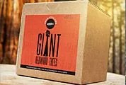 Grow-Redwood-Gear-Patrol