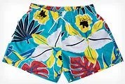 Chubbies-Hawaiian-Shorts-Gear-Patrol