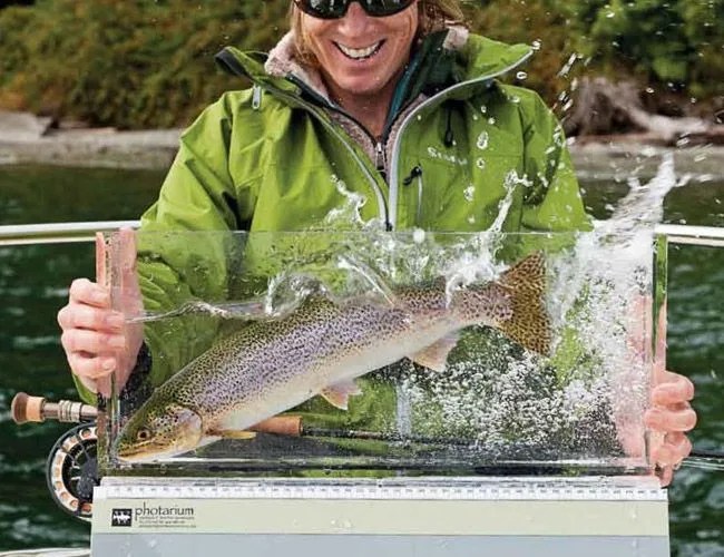 wild-fish-photarium-gear-patrol