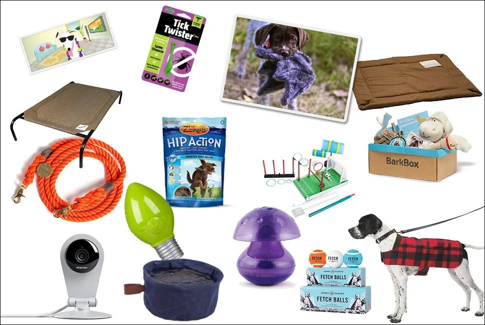 Puppy-Stocking-Stuffer-Gear-Patrol-Lead-Full