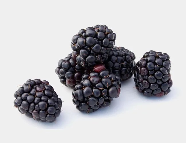blackberries-