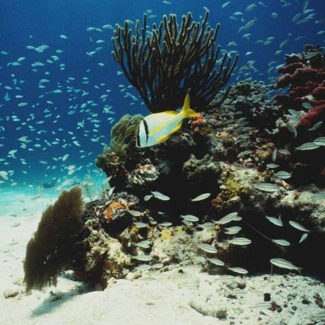 BISCAYNE-NATIONAL-PARK