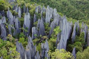 LESSONS-IN-BORNEO-GEAR-PATROL-SIDEBAR