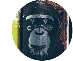 Infinate-monkey-gear-patrol