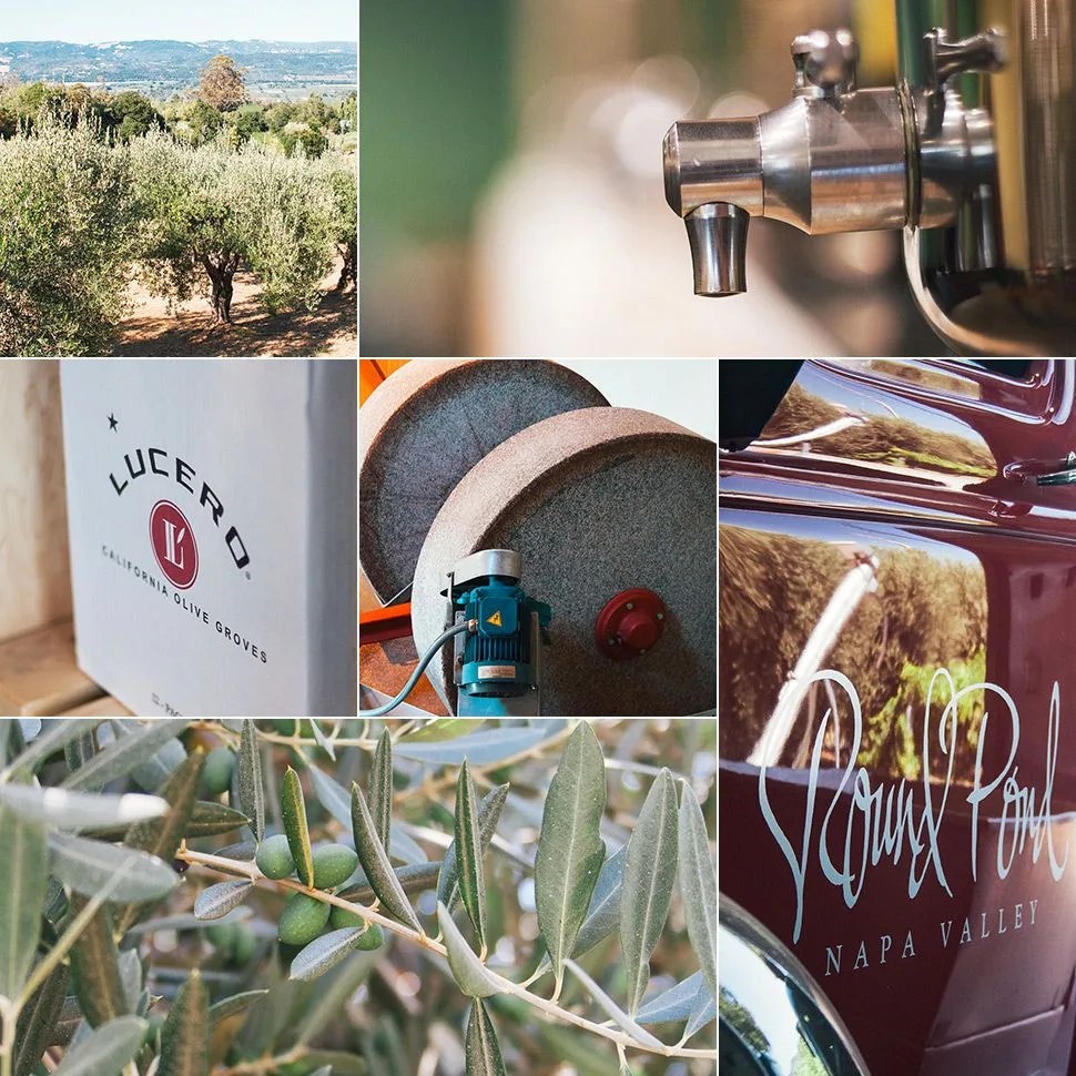 Olive-Oil-Tasting-Gear-Patrol-Lead-Full