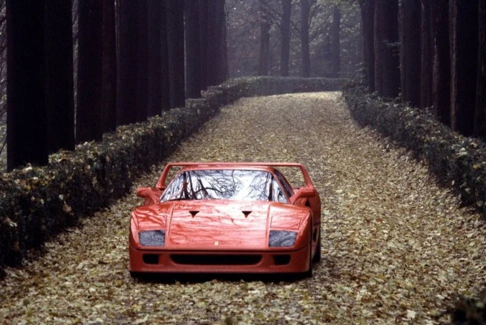 ferrari-f40-leaves