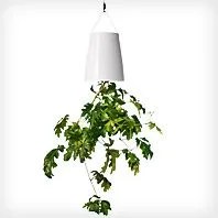 boskke-sky-planter-gear-patrol