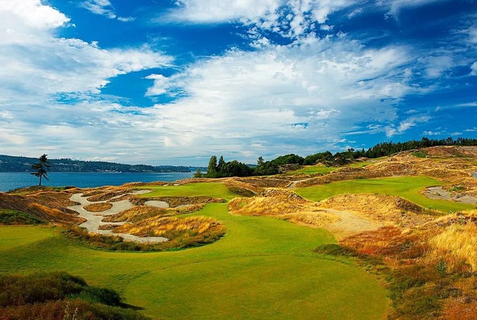 chambers-bay-golf-course