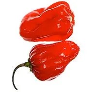 habanero-pepper