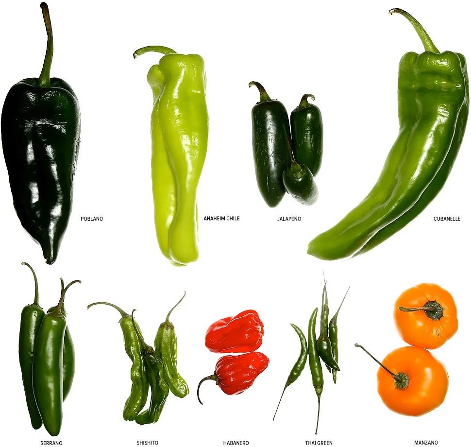 know-your-peppers-gear-patrol-lead-full-v2