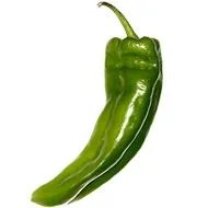 pasila-pepper