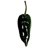 poblano-pepper-