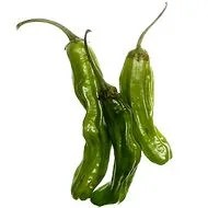 shishito-pepper