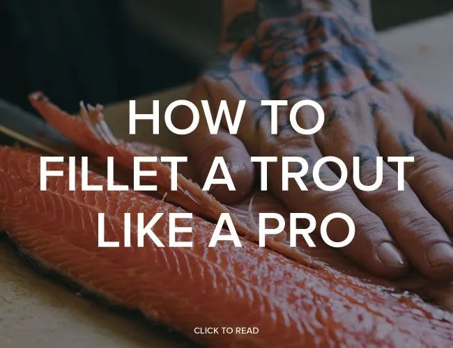 HOW-TO-FILLET-A-TROUT-PROMO-GEAR-PATROL