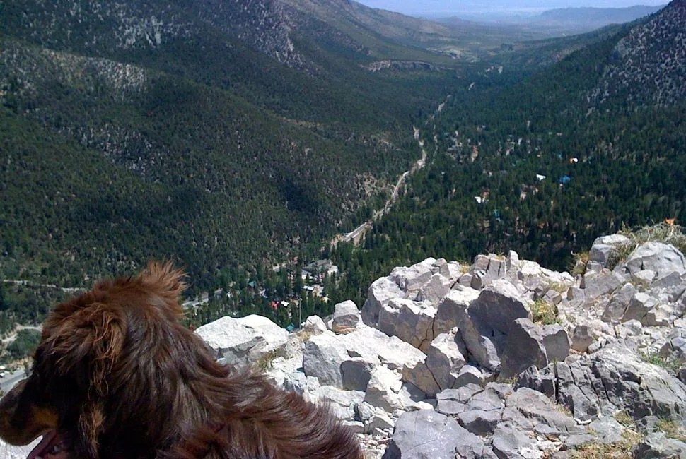 Mt-Charleston-Reader-Hikes-Gear-Patrol
